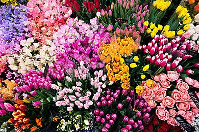 小岛秀夫送花庆祝 《死亡搁浅2》演员忽那汐里杀青