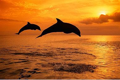 Bungie将于4月10日公开《命运2：终焉之形》实机预告